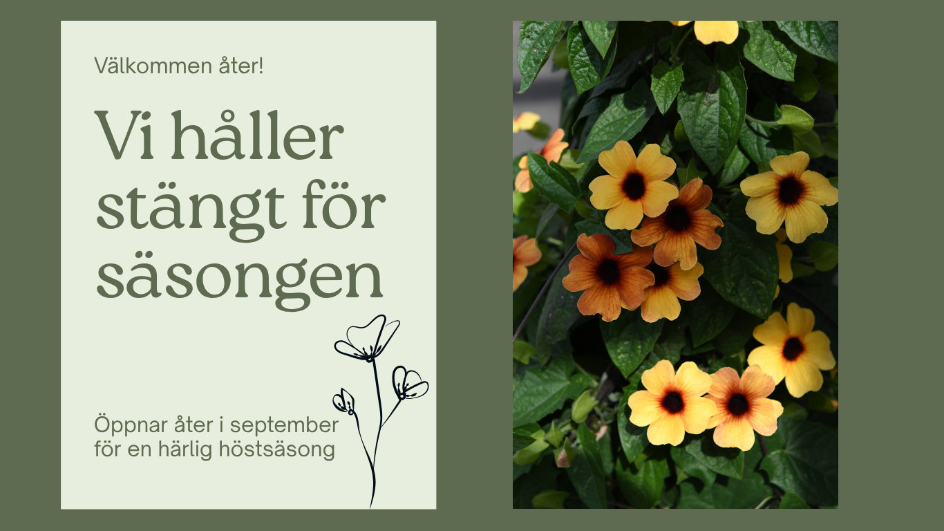 Vi håller stängt för säsongen, öppnar åter i september